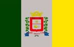 Bandeira de Ferraz de Vasconcelos