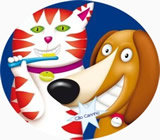 Banho e Tosa de Animais em Ferraz de Vasconcelos