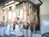 Frigoríficos em Ferraz de Vasconcelos