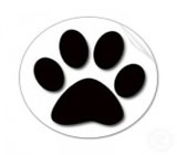 Pet Shops em Ferraz de Vasconcelos